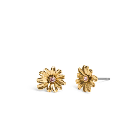 COACH Signature Daisy Charm Jewelry Set Coach