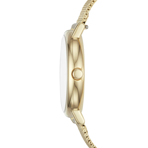 Skagen Women's Signatur Lille Two-Hand Gold Stainless Steel Mesh Band Watch (Model: SKW2693) Skagen