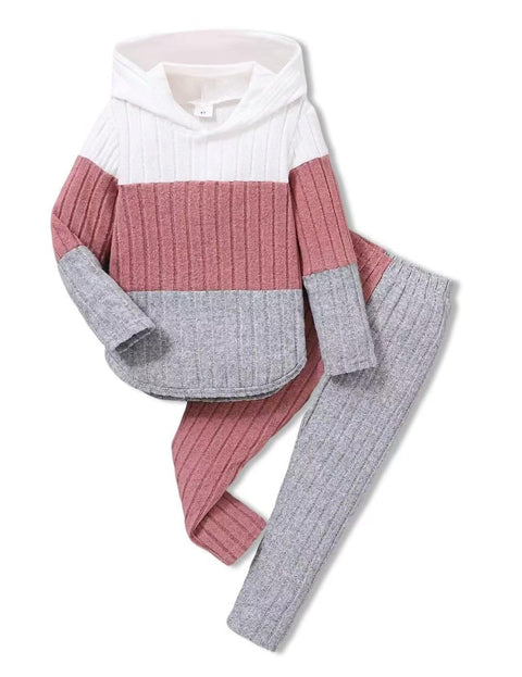 Doresbebe Girls Fall Winter Outfit Set Long Sleeve 2Pcs - Cozy Hoodie Sweatshirt Top Shirt Stretchy Fashion Pants Leggings for 5 6 Year Old Princess Spring Overall Set Pink