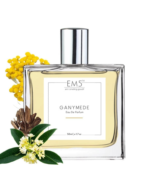 Generic NIMAL Ganymede Unisex Perfume | Warm Spicy Leather Accords | EDP Spray for Men & Women | Strong & Long Lasting Fragrance | Luxury Gift for Him/Her Generic