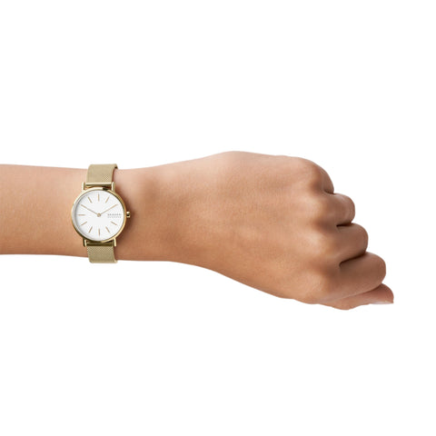 Skagen Women's Signatur Lille Two-Hand Gold Stainless Steel Mesh Band Watch (Model: SKW2693) Skagen