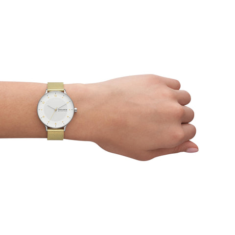 Skagen Women's Riis Silver and Gold Two-Tone Stainless Steel Mesh Band Watch (Model: SKW3092) Skagen