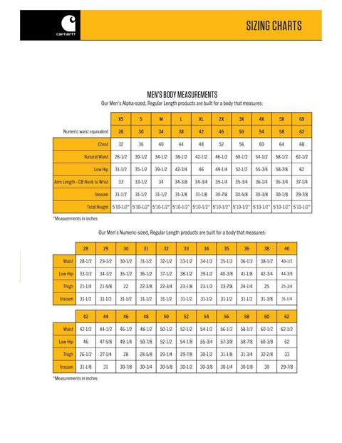 Carhartt mens Loose Fit Midweight Full-zip Sweatshirt fashion hoodies, Carbon Heather, X-Large US