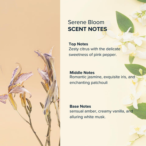 ANTHOLOGY Roll on Perfume Oil for Women | Floral Perfume Set | Set of 3 Travel Size Fragrances 9 ML Rollerball | Alcohol Free ANTHOLOGY