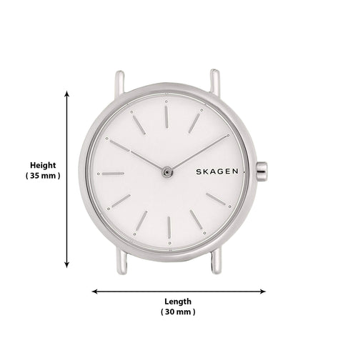 Skagen Women's Signatur Quartz Analog Stainless Steel and Stainless Steel Mesh Watch, Color: Silver / Silver (Model: SKW2692) Skagen