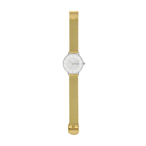 Skagen Women's Riis Silver and Gold Two-Tone Stainless Steel Mesh Band Watch (Model: SKW3092) Skagen