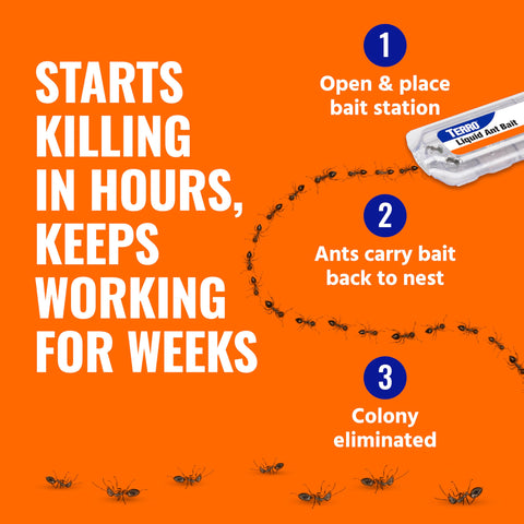 TERRO Ant Killer Bait Stations T300-3SR - Liquid Bait to Eliminate Ants - 18 Count Stations for Effective Indoor Ant Control Terro