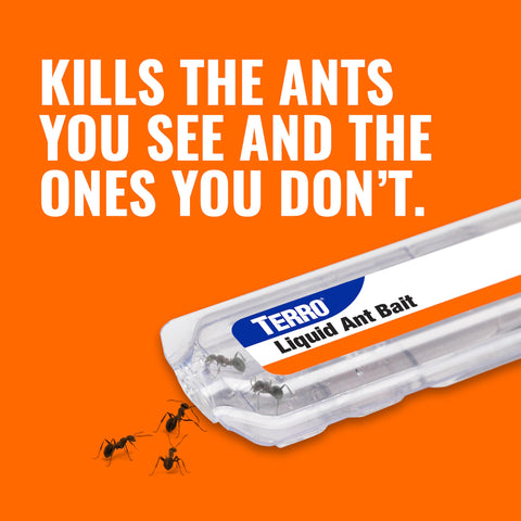 TERRO Ant Killer Bait Stations T300-3SR - Liquid Bait to Eliminate Ants - 18 Count Stations for Effective Indoor Ant Control Terro