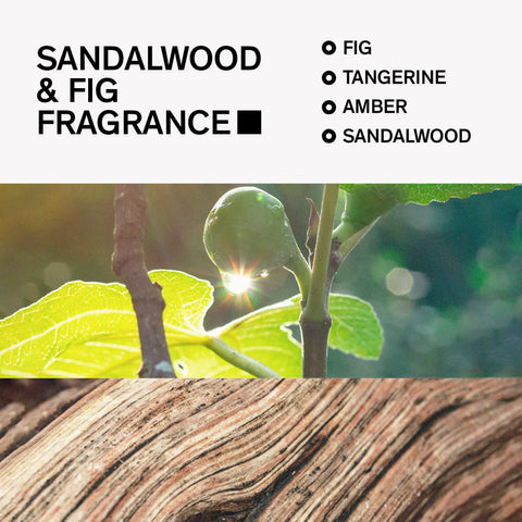 Aluminum-Free Deodorant for Men by Bravo Sierra, 1-Pack - Contains Natural Ingredients – Long Lasting All-Day Odor and Sweat Protection -Sandalwood and Fig, 3.2 oz - Paraben-Free, Vegan & Cruelty-Free