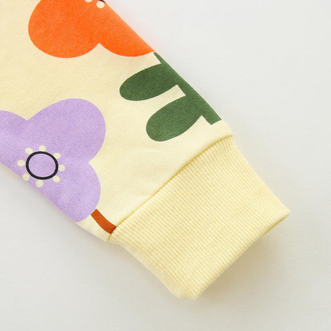 Little Girls Sweatshirts Clothes Outfits Fall Winter Spring Cotton Cute Crewneck Long Sleeve Floral and Rainbow Casual Shirt Tops Hoodie Clothing for Daily School Playwear Cream with Flowers Size 6