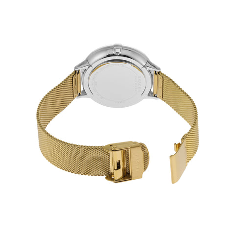 Skagen Women's Riis Silver and Gold Two-Tone Stainless Steel Mesh Band Watch (Model: SKW3092) Skagen