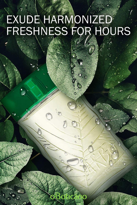 Arbo Eau de Toilette by O Boticario, Long Lasting Perfume For Men | Fresh Citrus & Green Men's Fragrance (3.2 fl oz) O Boticário