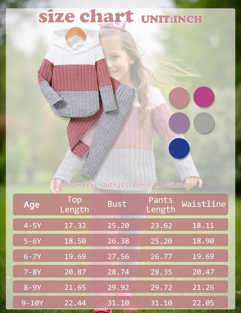Doresbebe Girls Fall Winter Outfit Set Long Sleeve 2Pcs - Cozy Hoodie Sweatshirt Top Shirt Stretchy Fashion Pants Leggings for 5 6 Year Old Princess Spring Overall Set Pink