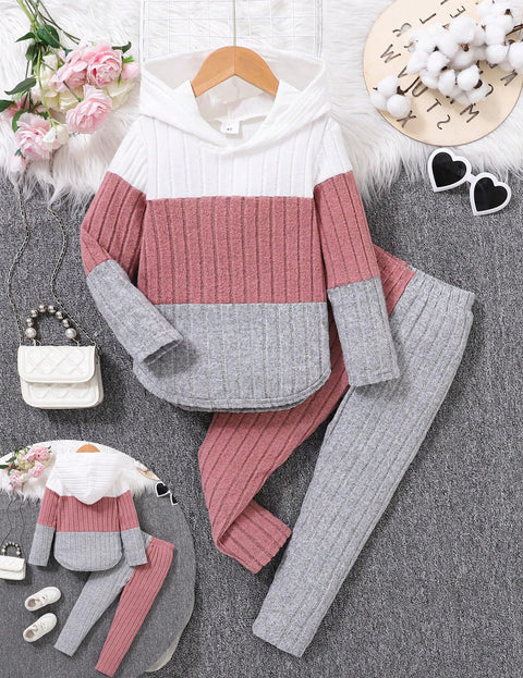 Doresbebe Girls Fall Winter Outfit Set Long Sleeve 2Pcs - Cozy Hoodie Sweatshirt Top Shirt Stretchy Fashion Pants Leggings for 5 6 Year Old Princess Spring Overall Set Pink