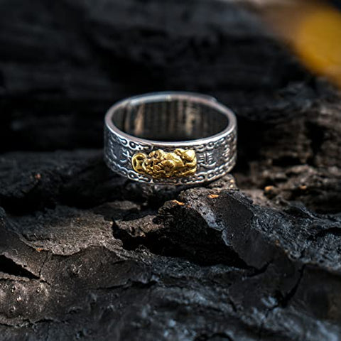 Feng Shui Ring 925 Stering Silver Pixiu Mantra Ring Protection Wealth Adjustable Rings Buddhist Amulet Jewelry Good Luck Health Gift for Men Women Seiyang